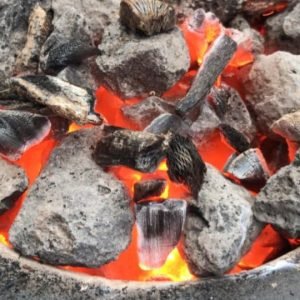 WhatsApp Image 2025-08-19 at 9.09.57 AM